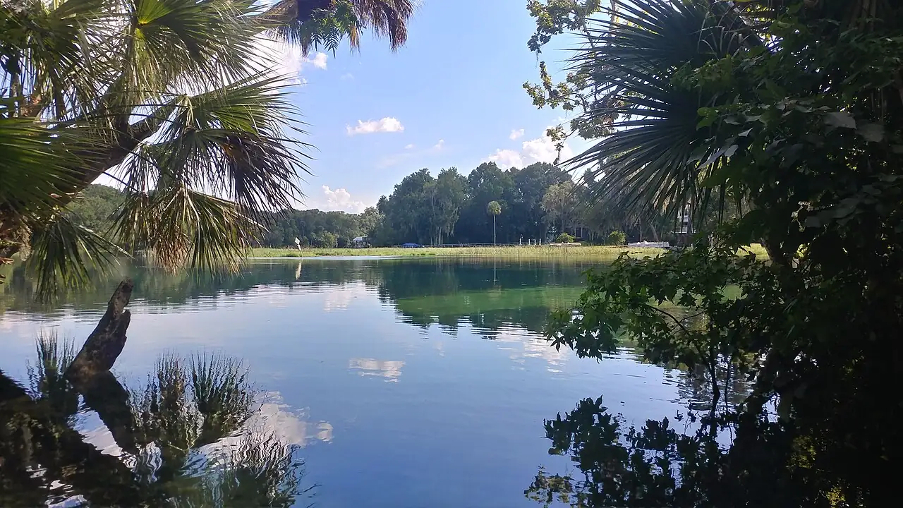The Rainbow River at Dunnellon, clear spring-fed water running between banks of cypress and palm.