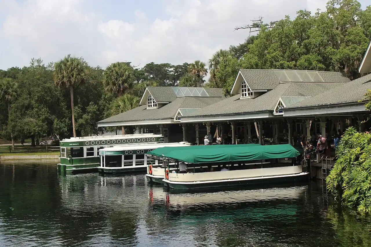 Glass-bottom boats moored at the head spring in Silver Springs State Park, clear water over pale sand.