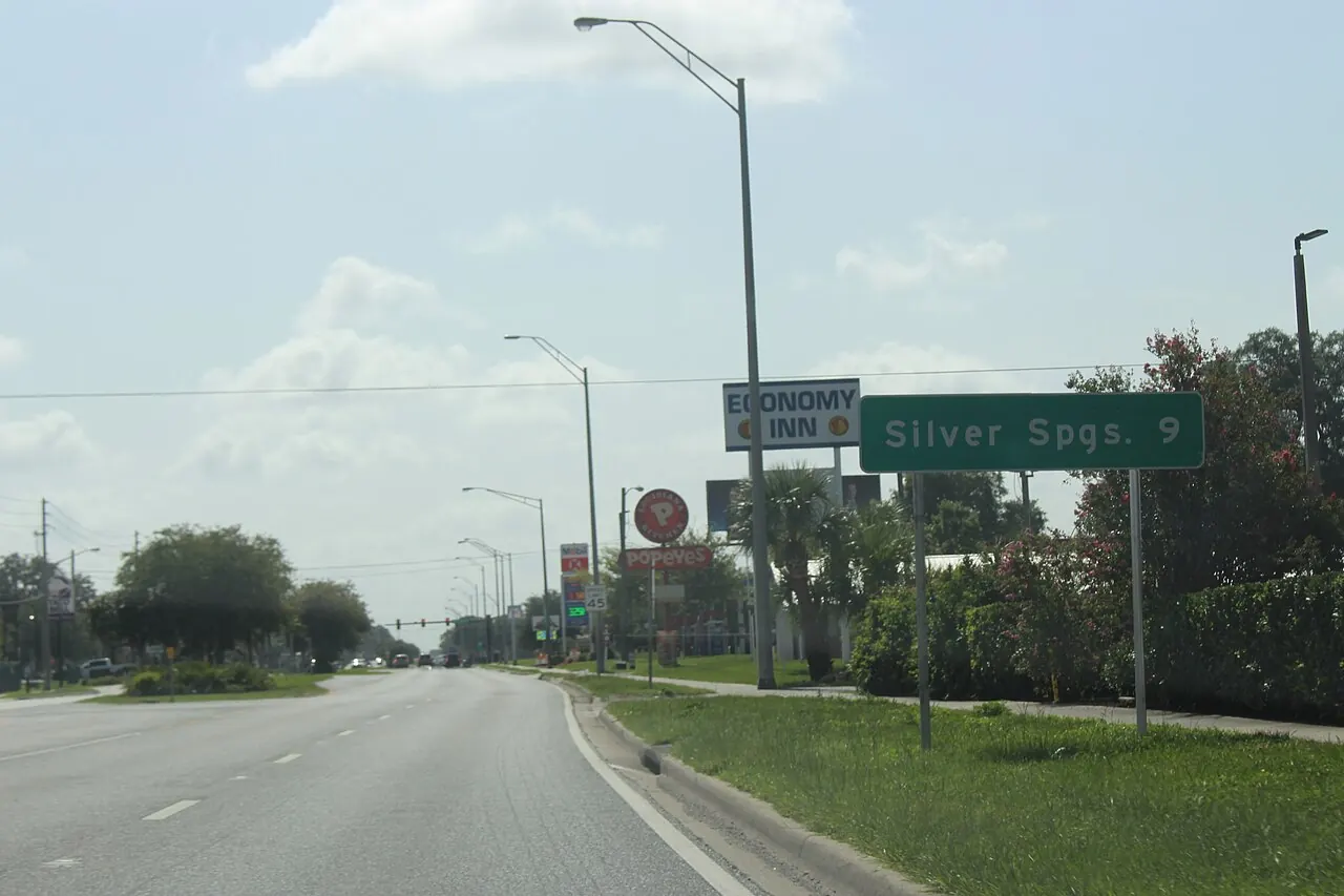 A green distance sign on an eastbound Florida state highway out of Ocala, pines along the shoulder.
